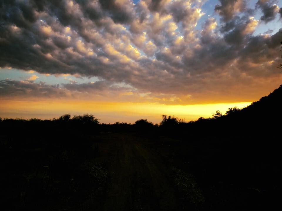 Photo_00030.jpg